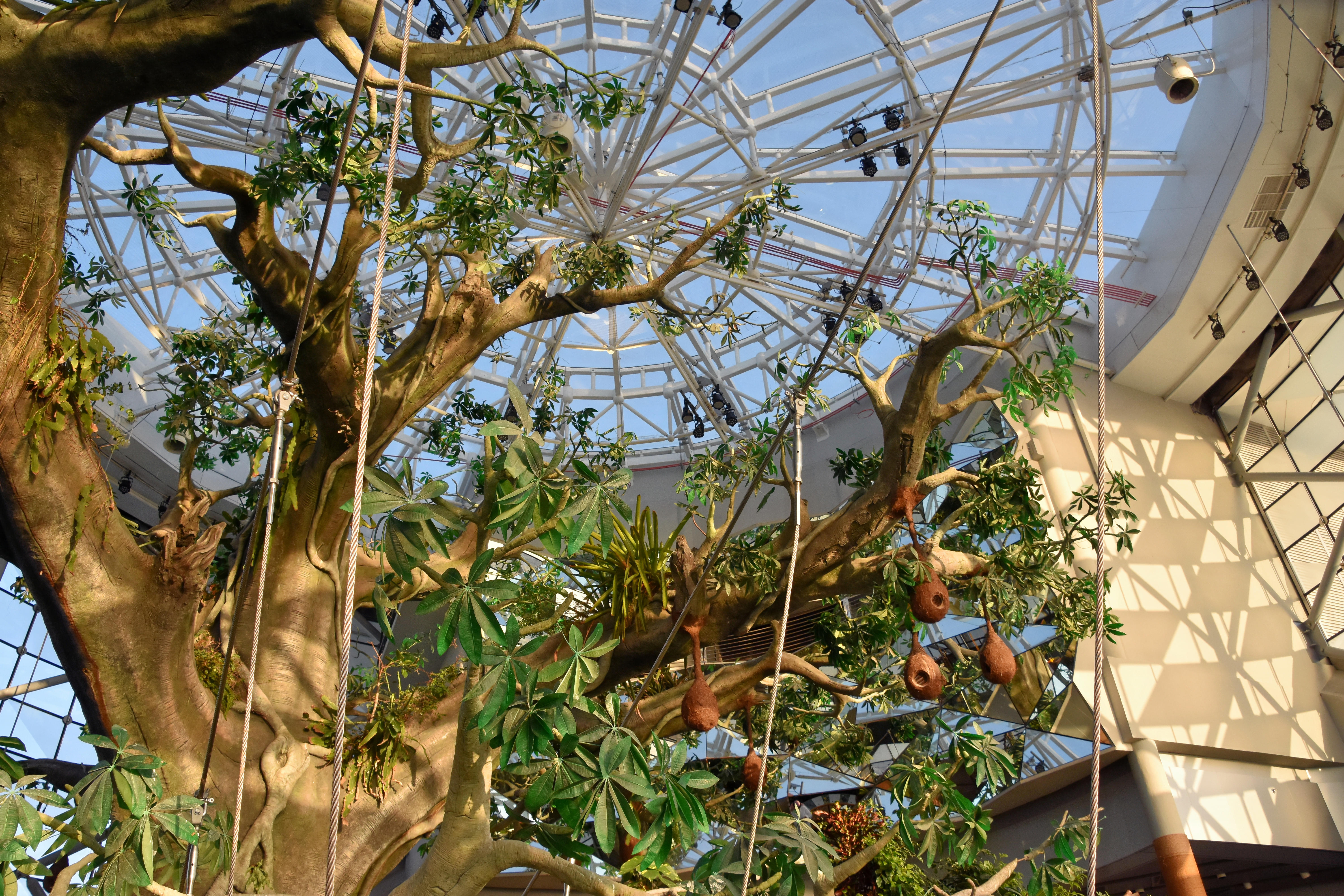 The Green Planet Dubai - Image 9 of 10