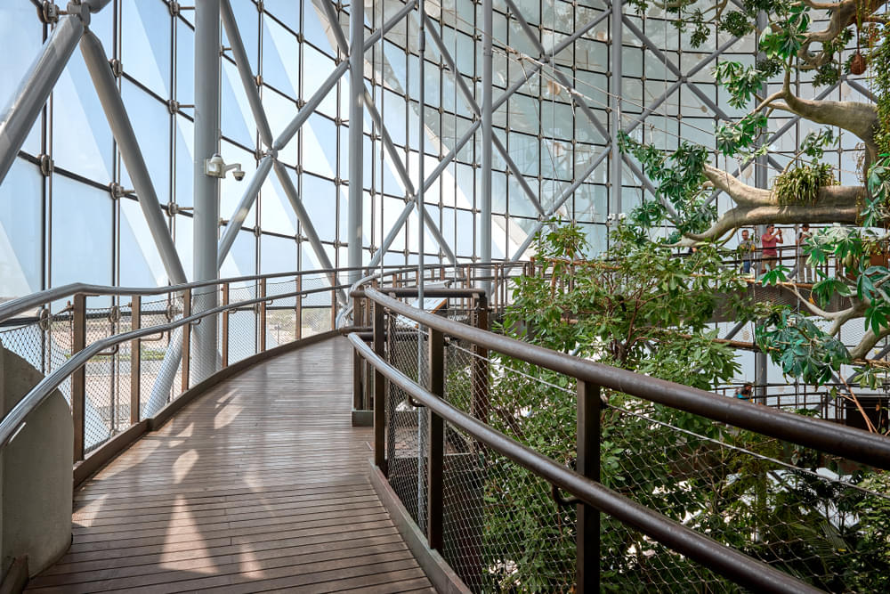 The Green Planet Dubai - Image 10 of 10