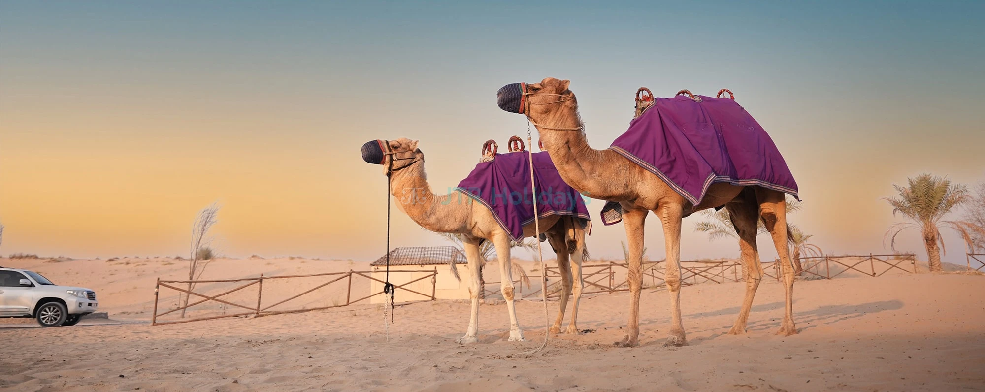 Explore Dubai Holidays 4 Nights 5 Days - 4 Nights 5 Days - Image 4 of 5