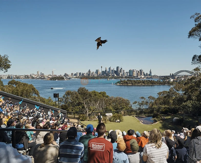 Save up to 50% with Go City Sydney Explorer Pass Top Attractions & Tours - Image 2 of 5