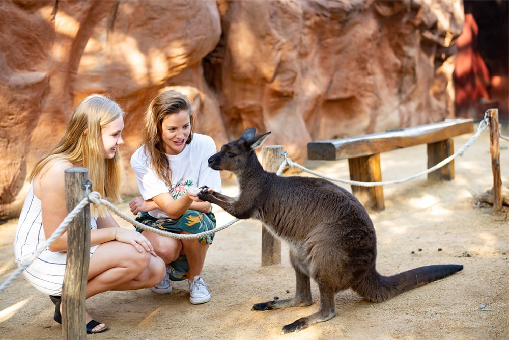 Go City Sydney Explorer Pass - Erkunden Sie Sydney auf Ihre Weise mit dem Go City Sydney Explorer Pass. Wählen Sie 2-7 Top-Attraktionen wie Sydney Tower Eye, Opernhaus-Tour, SEA LIFE Aquarium, Taronga Zoo und mehr. Flexibler digitaler Pass, gültig 30 Tage ab erster Nutzung. Jetzt buchen für den besten Preis! Go City Sydney Explorer Pass - Bild 4 von 5