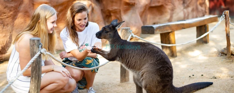 Pass Explorer Go City Sydney - Découvrez Sydney à votre façon avec le Pass Explorer Go City Sydney. Choisissez 2 à 7 attractions incontournables comme la Sydney Tower Eye, la visite de l'Opéra de Sydney, l'aquarium SEA LIFE, le zoo de Taronga et plus encore. Pass numérique flexible valable 30 jours à partir de la première utilisation. Réservez maintenant pour le meilleur rapport qualité-prix ! Pass Explorer Go City Sydney - Image 4 sur 5