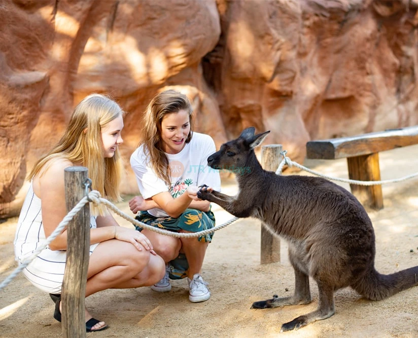 Sydney Explorer Pass Choose 2 Top Sydney Attractions - Image 5 of 5