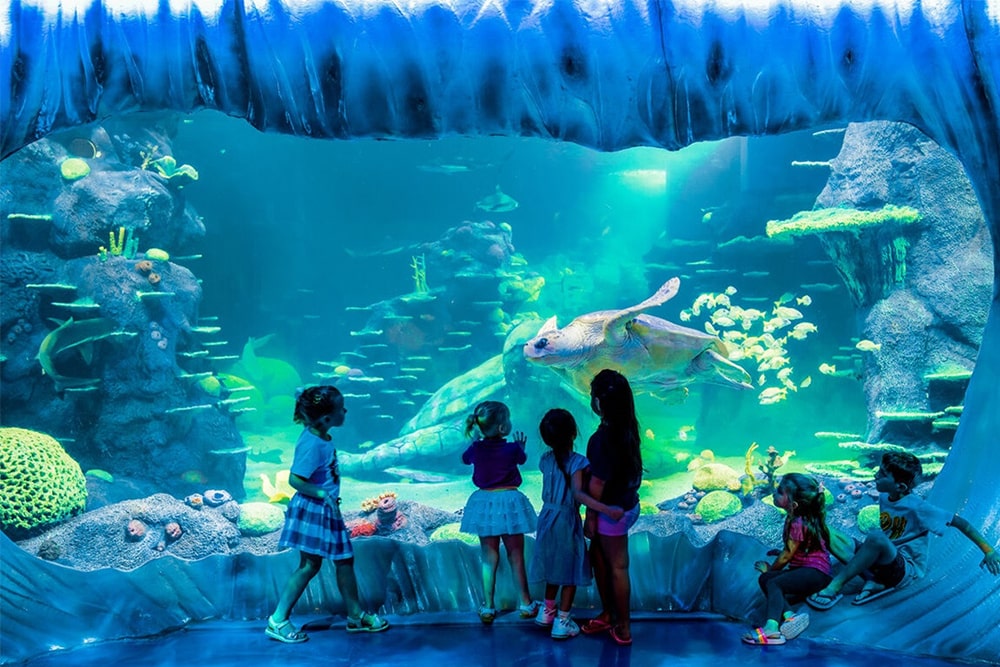 Go City Sydney 7 day Pass - Image 1 of 5