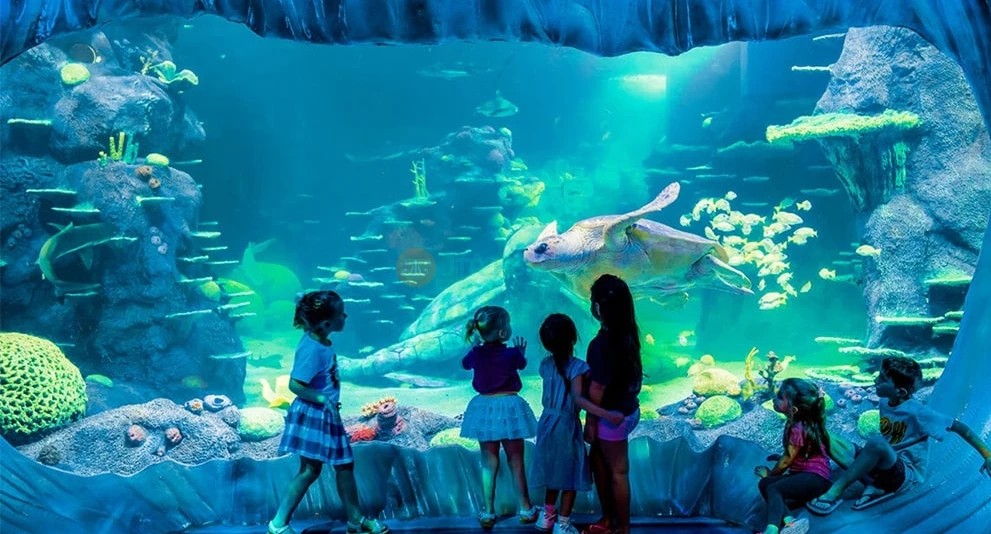 Sydney Explorer Pass Explore 7 Top Sydney Sites - Image 1 of 5