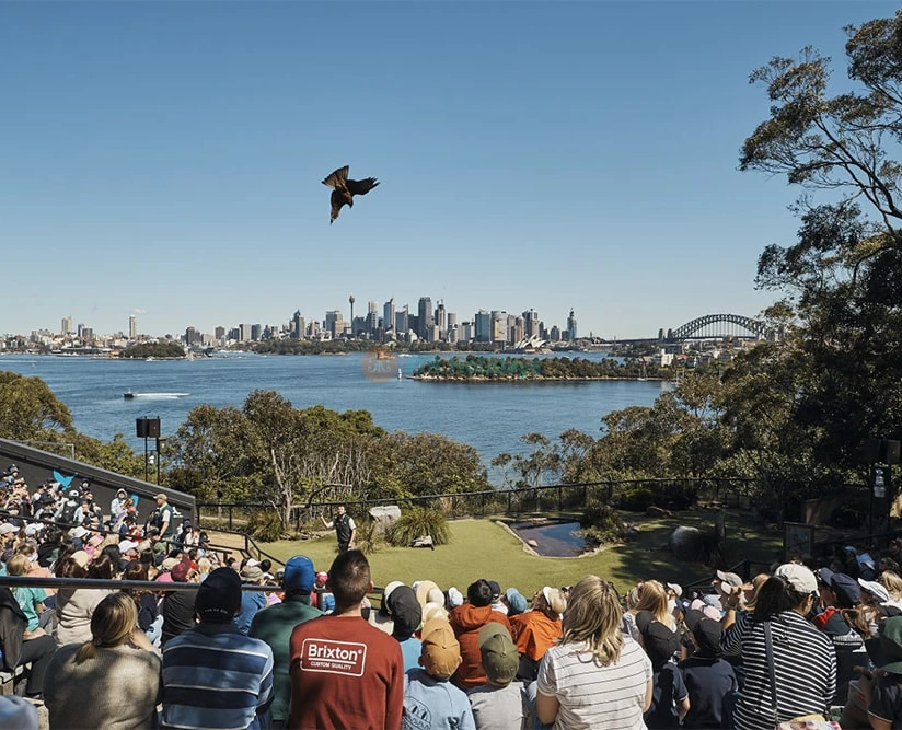 Sydney Explorer Pass Explore 7 Top Sydney Sites - Image 5 of 5