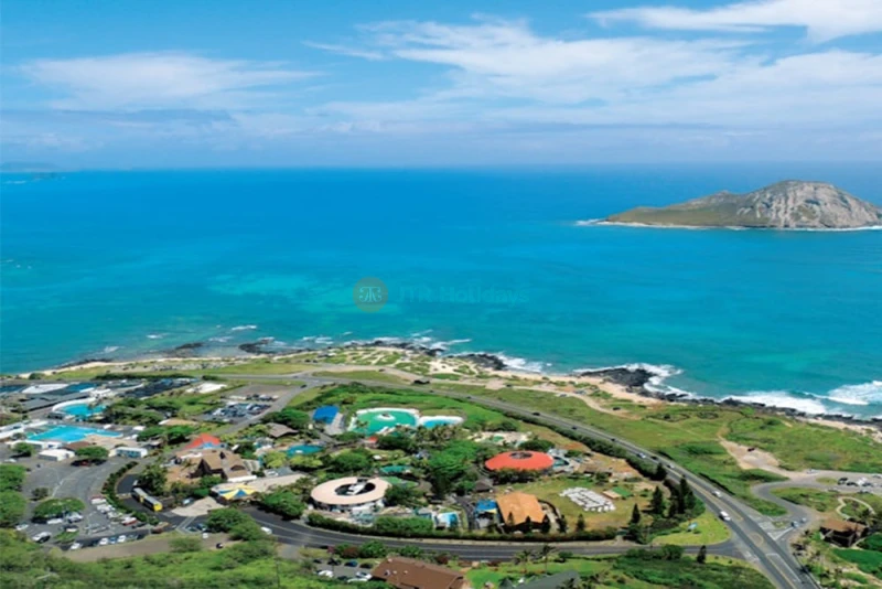 Sea Life Park Hawaii: Entry Ticket