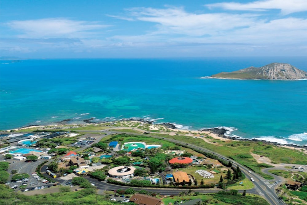 Sea Life Park Hawaii: Entry Ticket - Image 3 of 5