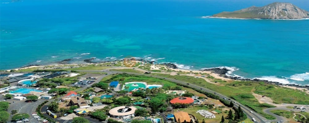 Sea Life Park Hawaii Tickets Dolphin & Marine Animal Adventure - Image 3 of 5