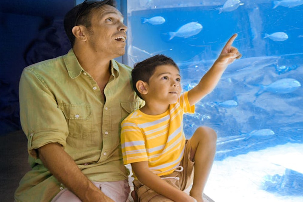 Sea Life Park Hawaii: Entry Ticket - Book your entry ticket to Sea Life Park Hawaii and enjoy up-close encounters with dolphins, sea lions, turtles, penguins, and more. Explore family-friendly exhibits, live trainer talks, and interactive feeding sessions in a sustainable marine park. Sea Life Park Hawaii: Entry Ticket - Image 5 of 5