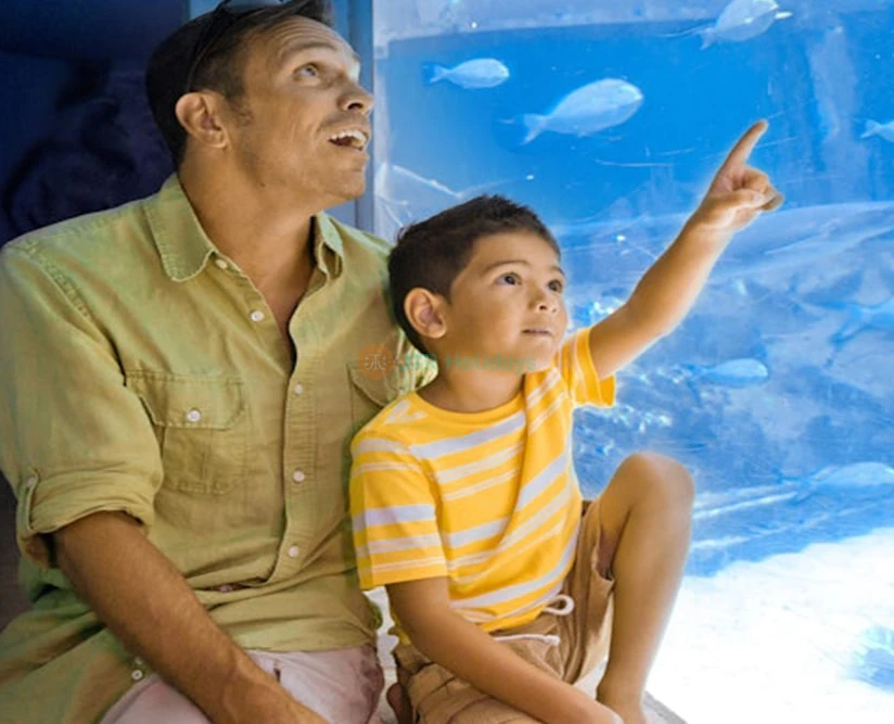 Sea Life Park Hawaii Tickets Dolphin & Marine Animal Adventure - Image 5 of 5