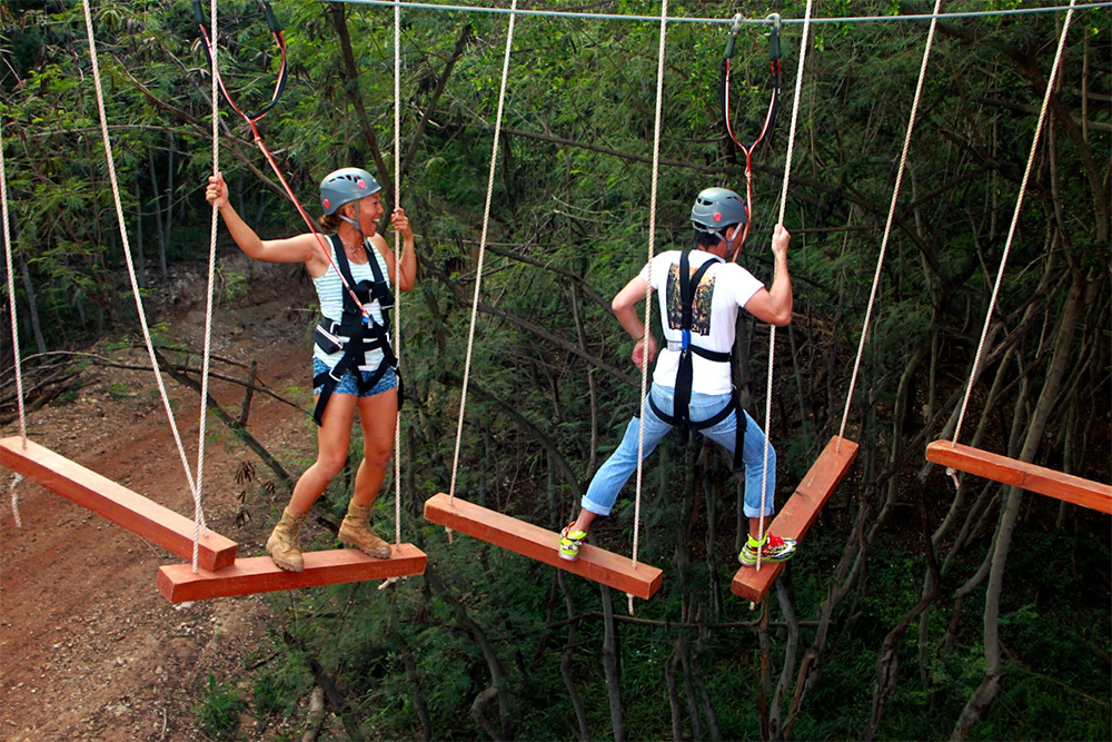 Coral Crater Abenteuerpark - Erleben Sie die Zipline-Tour im Coral Crater Abenteuerpark in Oahu, Hawaii. Sausen Sie durch 3 aufregende Ziplines, genießen Sie panoramische Dschungelausblicke und verlassen Sie sich auf erfahrene Guides für ein sicheres, unvergessliches Abenteuer. Coral Crater Abenteuerpark - Bild 3 von 5