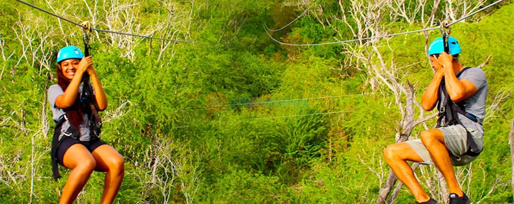 Coral Crater Adventure Park Zipline Thrilling Jungle Adventure in Oahu - Image 4 of 5