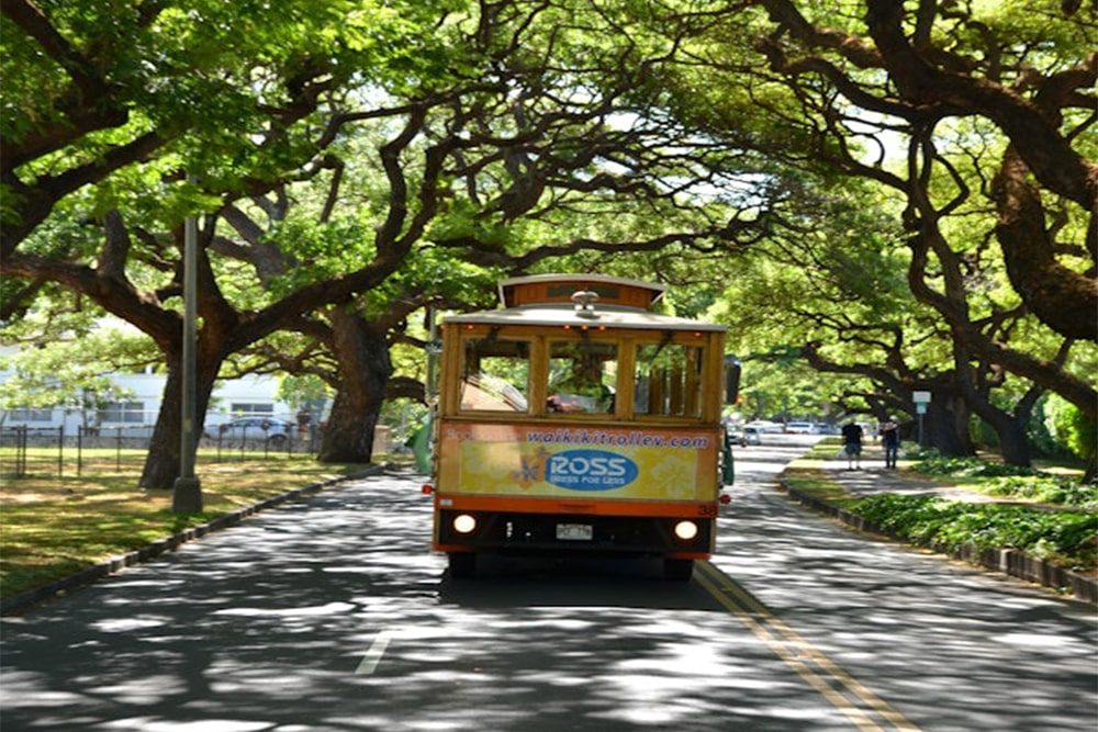 Waikiki Trolley Hop-on Hop-off Bus Tour - Image 2 of 5
