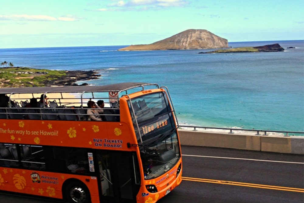 Waikiki Trolley Hop-on Hop-off Bus Tour - Enjoy unlimited hop-on hop-off rides with Waikiki Trolley. Explore Oahu’s beaches, landmarks, and cultural sites at your own pace with 1, 4, or 7-day passes. Comfortable, wheelchair accessible, and perfect for all ages. Waikiki Trolley Hop-on Hop-off Bus Tour - Image 3 of 5