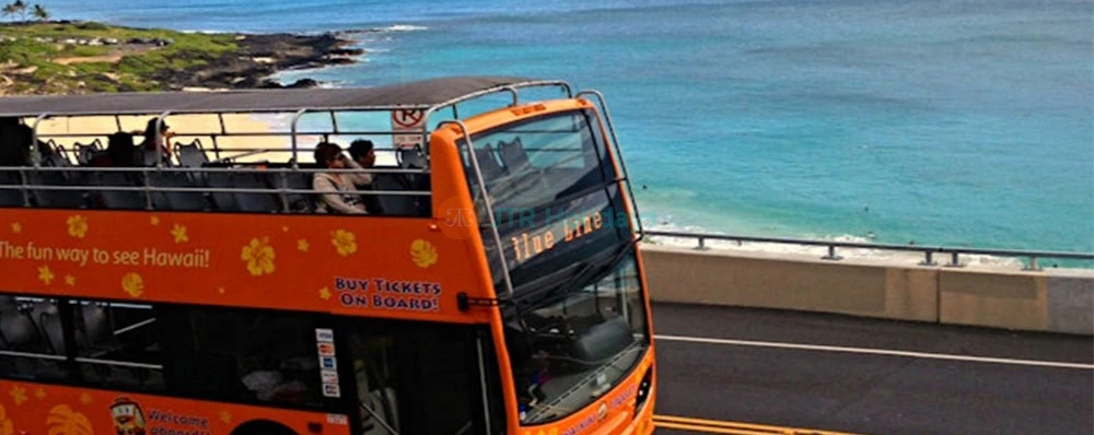 Waikiki Trolley Hop-on Hop-off Bus Tour - Image 3 of 5