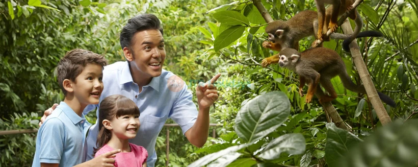 Go City Singapore 4 Choice Pass - Explore Singapore at your own pace with the Go City Explorer Pass. Choose 2–7 attractions from over 40 experiences including Gardens by the Bay, Marina Bay Sands Skypark, Night Safari, and more. Go City Singapore 4 Choice Pass - Image 3 of 5