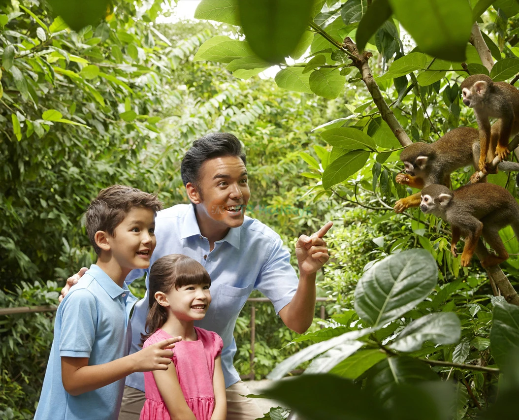 Go City Singapore Explorer Pass Top Attractions & Tours - Image 5 of 5