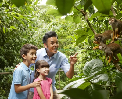 Go City Singapore 5 Choice Pass - Explore Singapore at your own pace with the Go City Explorer Pass. Choose 2–7 attractions from over 40 experiences including Gardens by the Bay, Marina Bay Sands Skypark, Night Safari, and more. Go City Singapore 5 Choice Pass - Image 5 of 5