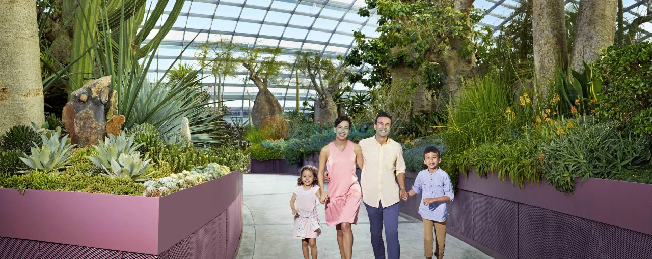 Go City Singapore Explorer Pass Top Attractions & Tours - Image 3 of 5