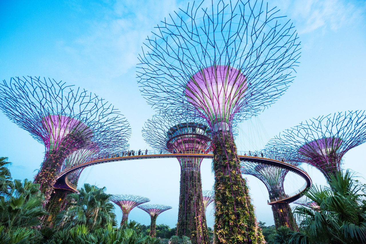 Pass Aller en ville Singapour 7 jours - Image 2 sur 5