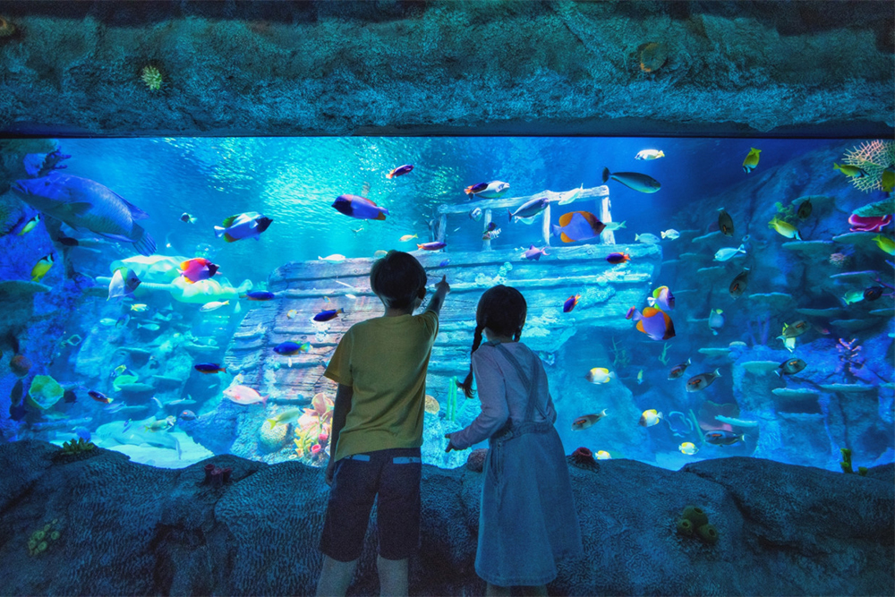 Go City Singapore 7 Choice Pass - Image 4 of 5