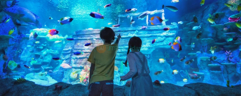 Pass Aller en ville Singapour 7 jours - Découvrez Singapour à votre rythme avec le Pass Explorateur Go City. Choisissez 2–7 attractions parmi plus de 40 expériences, dont les Jardins de la Baie, le SkyPark du Marina Bay Sands, le Safari de nuit, et plus encore. Pass Aller en ville Singapour 7 jours - Image 4 sur 5