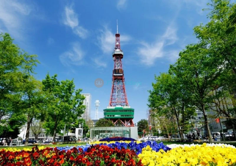 Sapporo TV Tower Ticket