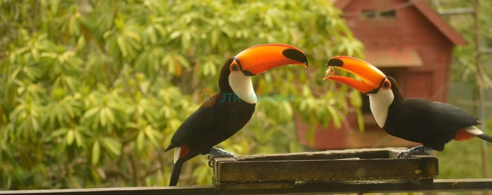 Neo Park Okinawa Ticket - Image 3 of 5