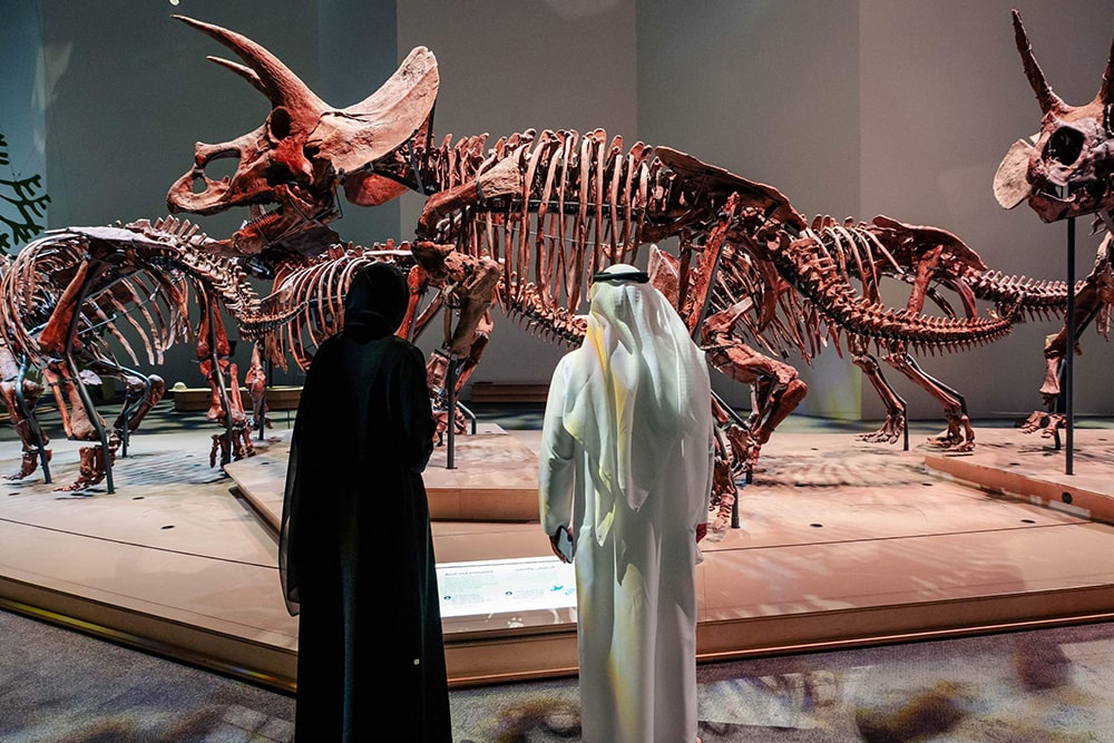 Natural History Museum Abu Dhabi Ticket - Image 1 of 5