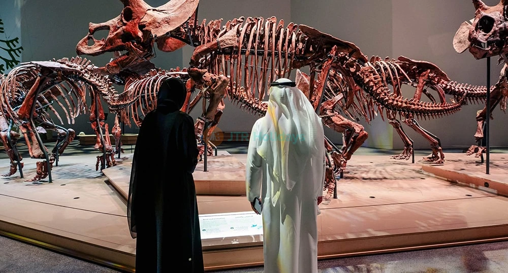 Natural History Museum Abu Dhabi Tickets | JTR Holidays - Image 1 of 5