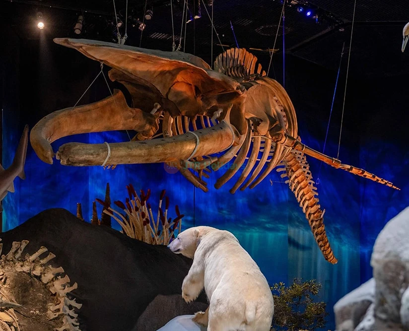 Natural History Museum Abu Dhabi Tickets | JTR Holidays - Image 2 of 5