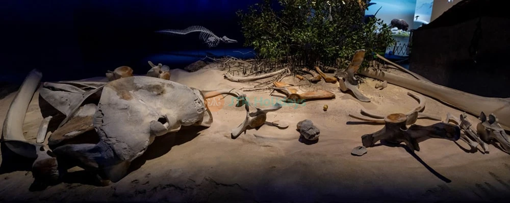 Natural History Museum Abu Dhabi Tickets | JTR Holidays - Image 3 of 5