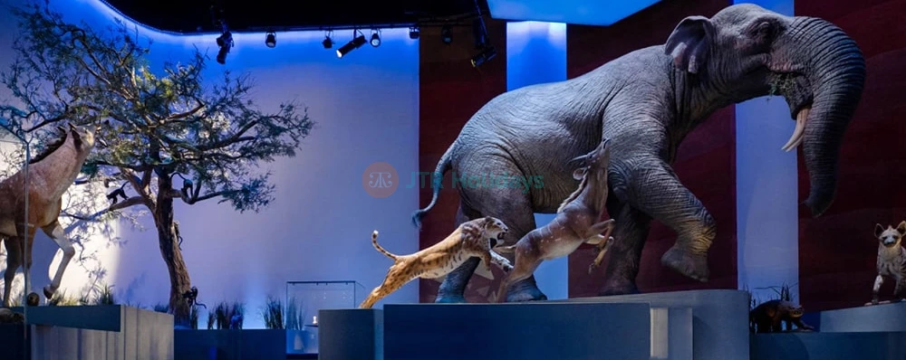 Natural History Museum Abu Dhabi Tickets | JTR Holidays - Image 4 of 5