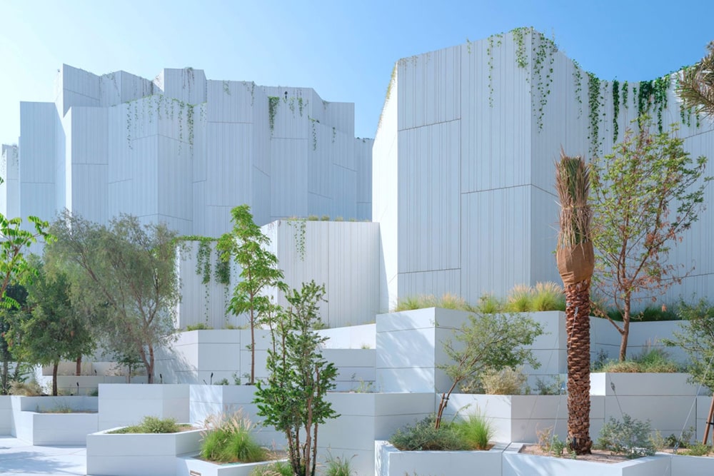 Natural History Museum Abu Dhabi Ticket - Image 5 of 5