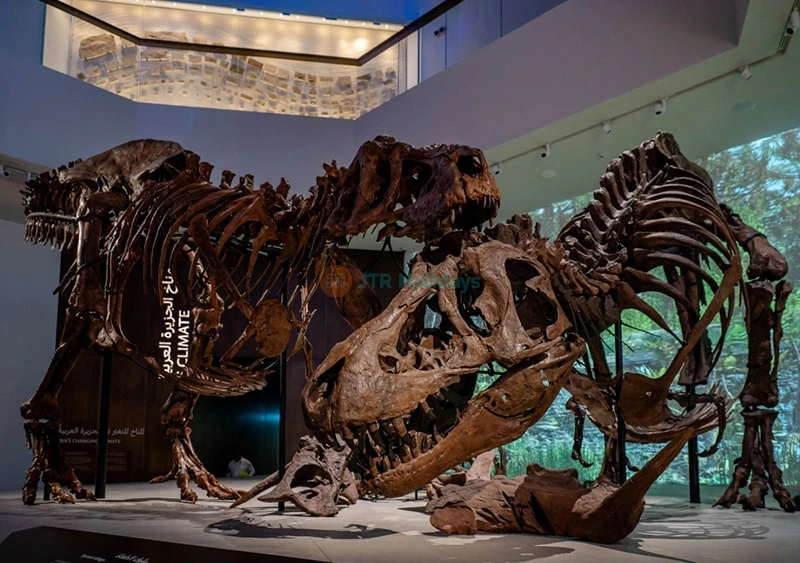 Biglietto Museo di Storia Naturale Abu Dhabi