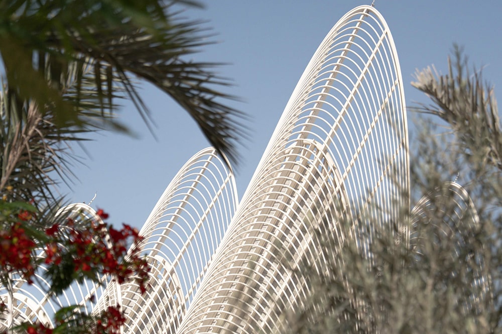 Entrada para el Museo Nacional Zayed en Abu Dabi - Explora el Museo Nacional Zayed en el Distrito Cultural Saadiyat: 300,000 años de historia de los EAU en seis galerías, tradiciones costeras, patrimonio interior, exhibiciones de Sheikh Zayed. Pasea por el Jardín Al Masar de 600 m; servicios de accesibilidad incluidos. Aventura en un ícono cultural. Entrada para el Museo Nacional Zayed en Abu Dabi - Imagen 1 de 5