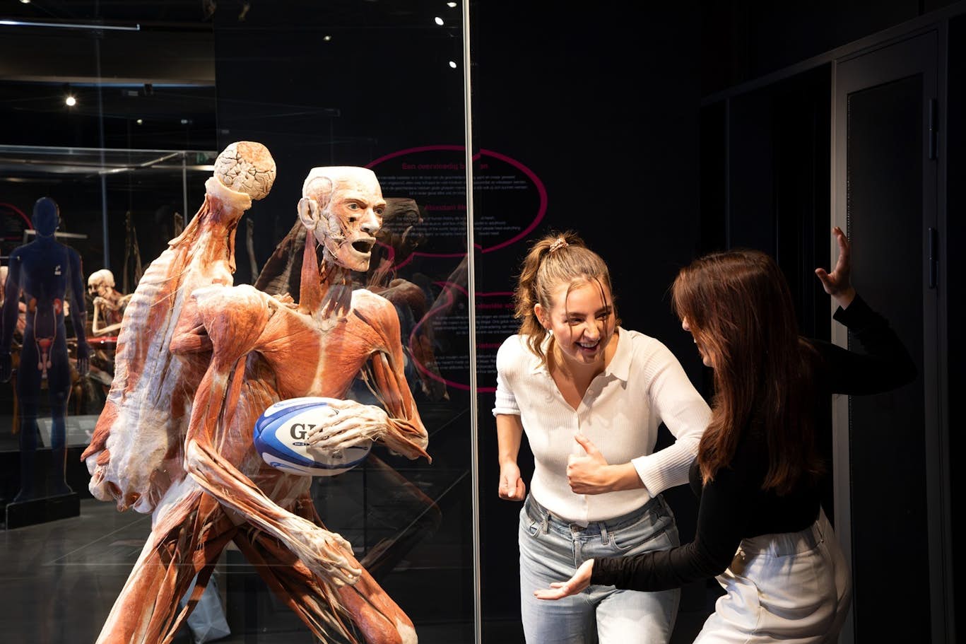 Body Worlds Amsterdam Ticket - Discover Body Worlds Amsterdam – The Happiness Project, featuring 200 real human specimens, interactive family-friendly exhibits, and insights into how happiness affects your health. Book fast-track tickets online and skip the queues in central Amsterdam. Body Worlds Amsterdam Ticket - Image 1 of 5