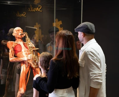 Body Worlds Amsterdam Ticket - Bild 2 von 5