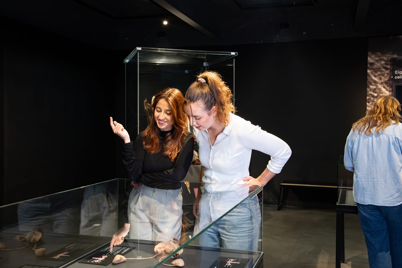 阿姆斯特丹人体世界门票 - 图片 3 的 5