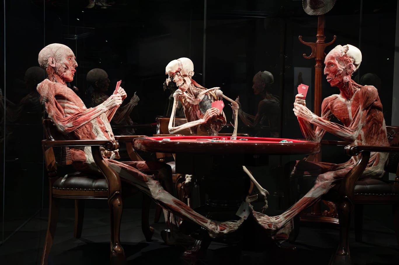 Body Worlds Amsterdam Ticket - Discover Body Worlds Amsterdam – The Happiness Project, featuring 200 real human specimens, interactive family-friendly exhibits, and insights into how happiness affects your health. Book fast-track tickets online and skip the queues in central Amsterdam. Body Worlds Amsterdam Ticket - Image 4 of 5