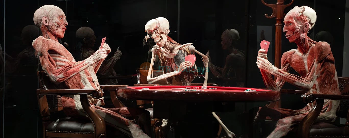 Entrada a Body Worlds Ámsterdam - Image 4 of 6