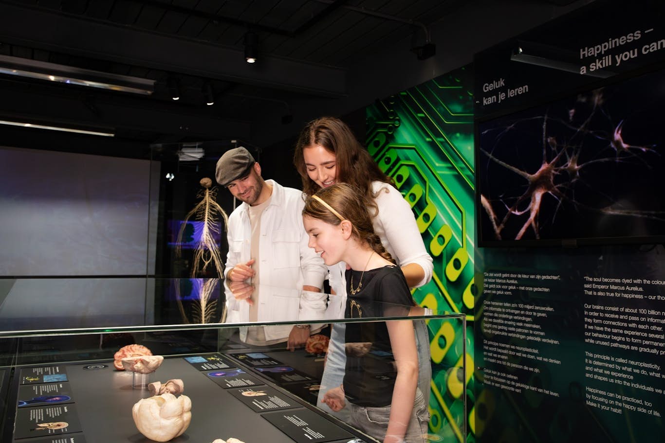 阿姆斯特丹人体世界门票 - 图片 5 的 5