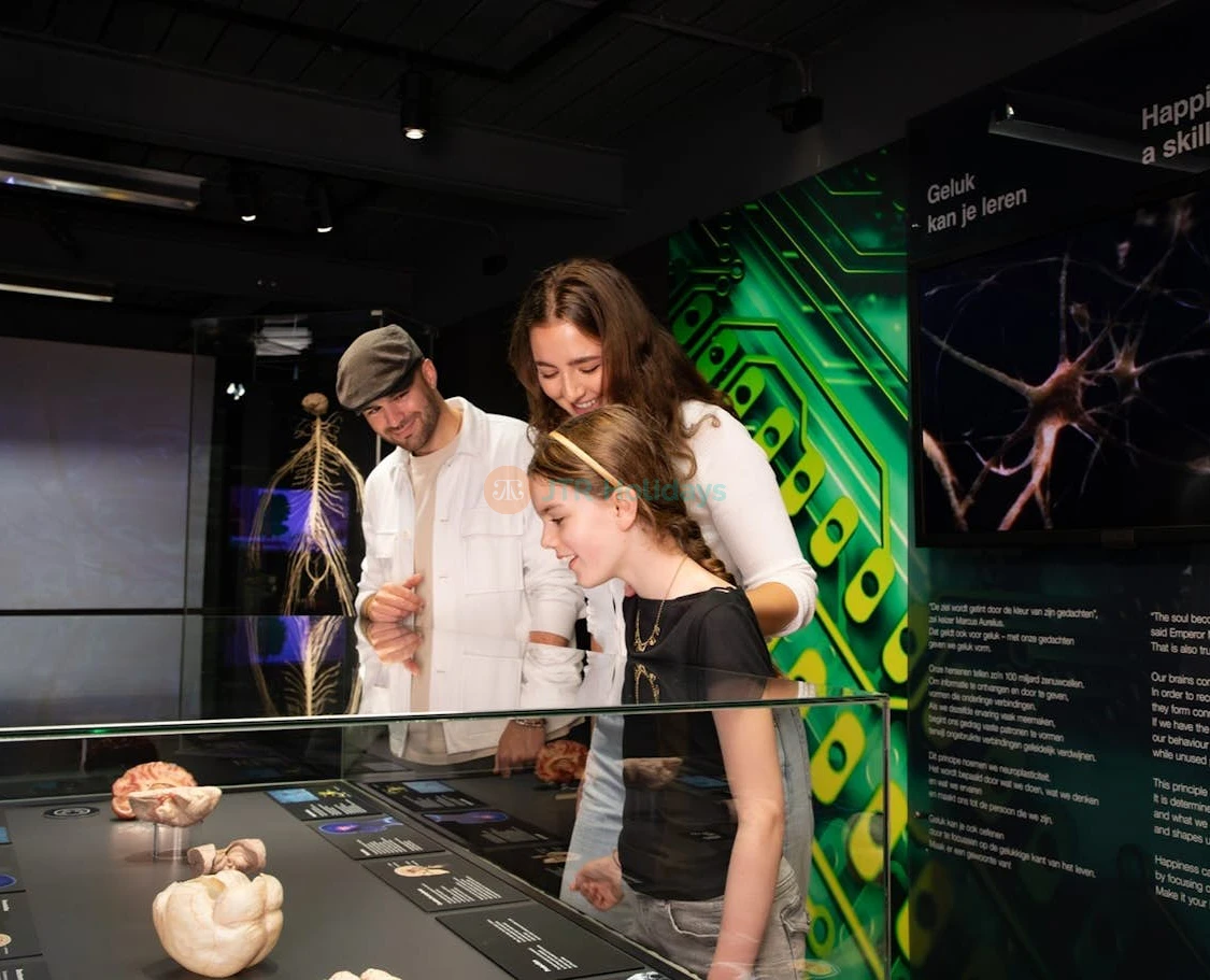 Entrada a Body Worlds Ámsterdam - Imagen 5 de 5