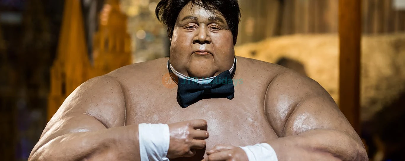 Ripley's Believe It or Not! Ticket in Amsterdam - Image 4 of 5