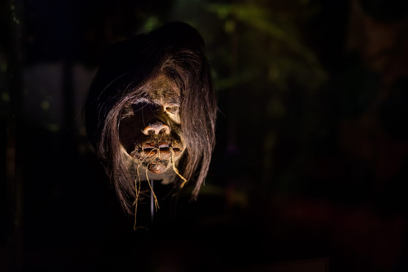 Ripley's Believe It or Not! Ticket in Amsterdam - Bild 5 von 5