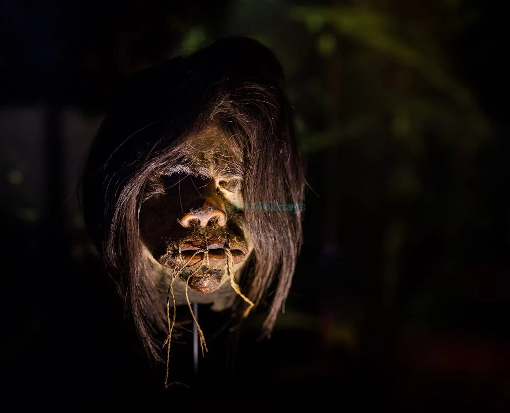 Ripley's Believe It or Not! Ticket in Amsterdam - Image 5 of 5