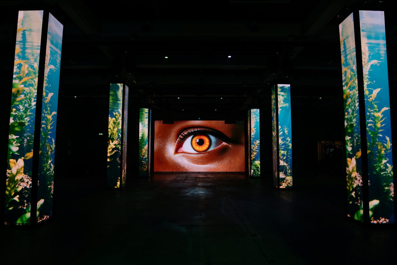 AMAZE: The Immersive Experience - Image 4 of 5