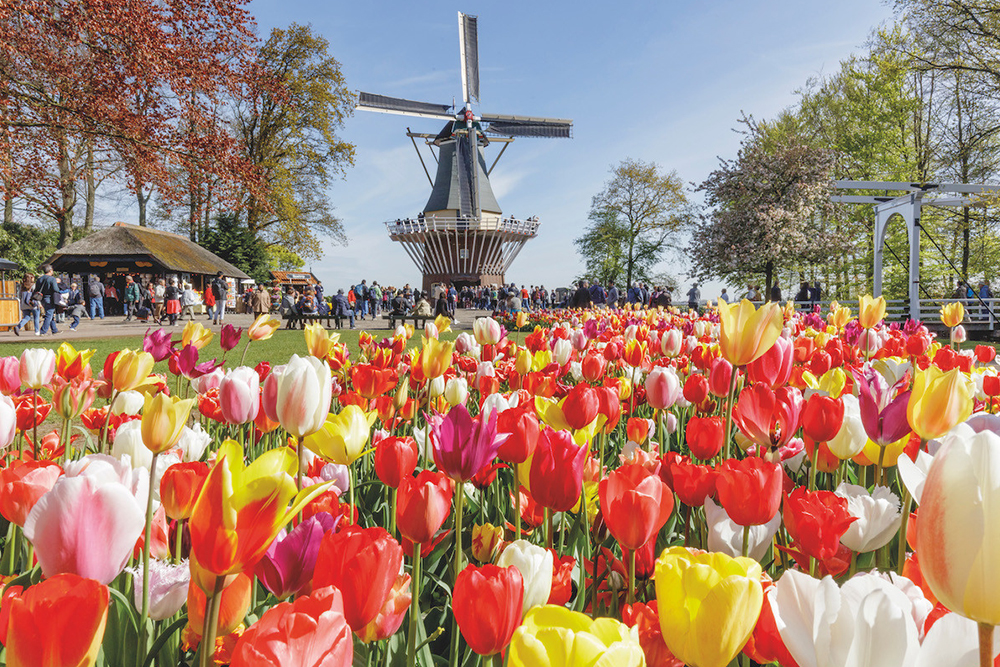 Go City Amsterdam 5 Choice Pass - Image 3 of 5