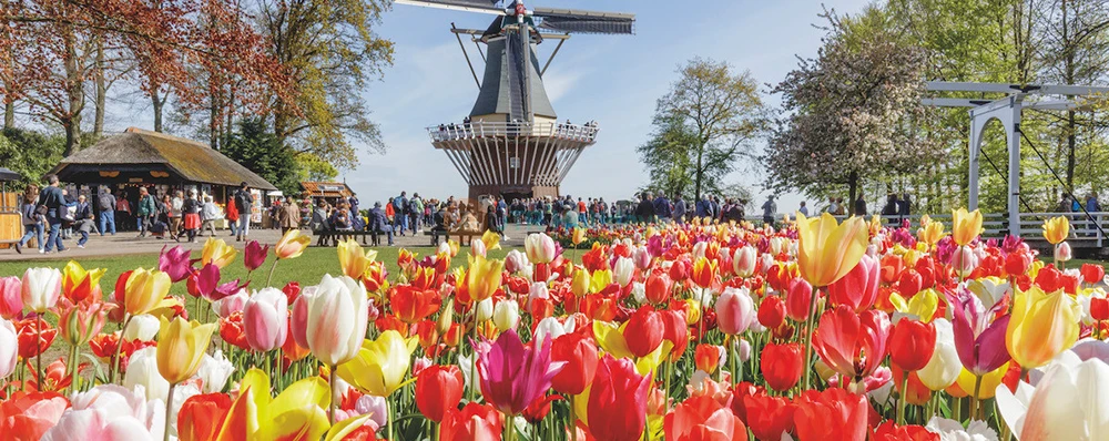 Pass 5 choix Aller Ville Amsterdam - Image 3 of 5